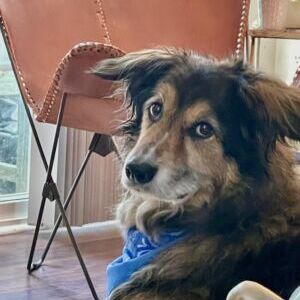 Charlie