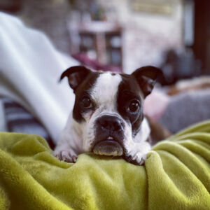 Margot