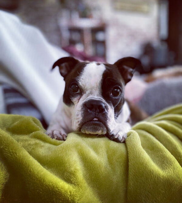 Margot