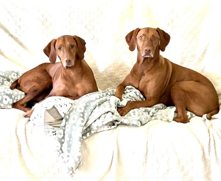 Rip and Reba