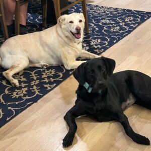 Lulu and Zeena