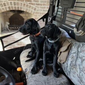 Colt and Jasmine