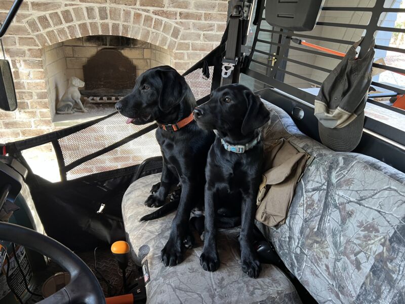 Colt and Jasmine