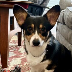 Molly