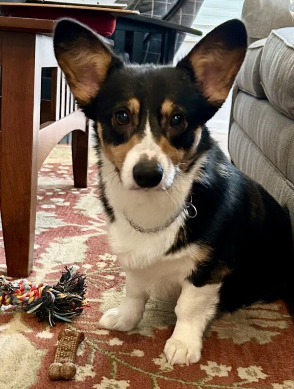Molly