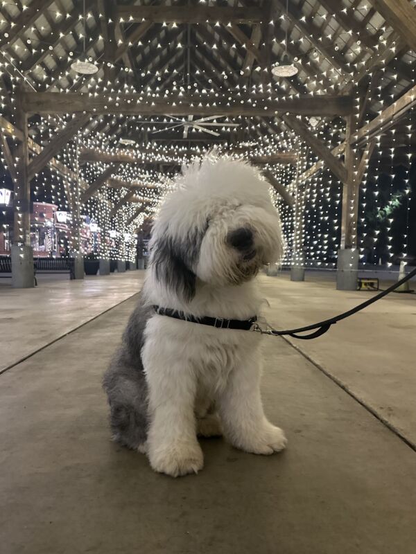 Oliver