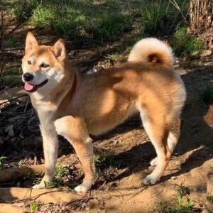 Keiko