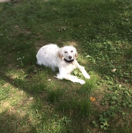 Izzy