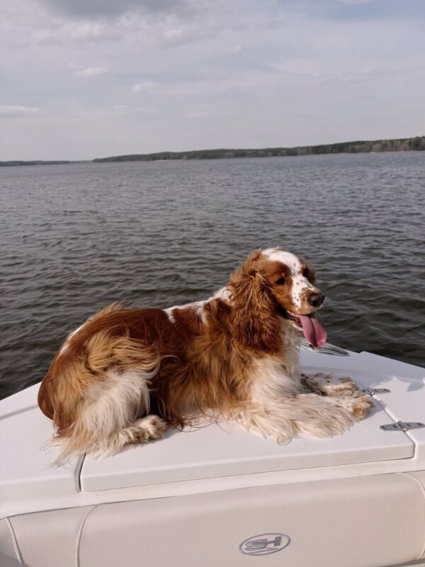 Sadie