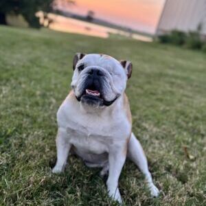 Molly Lucille Brady