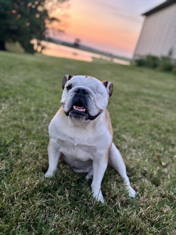 Molly Lucille Brady