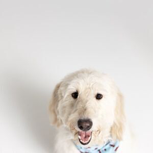 Truman