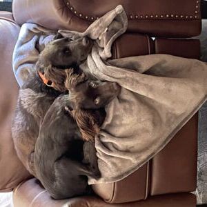 Roux & Huck