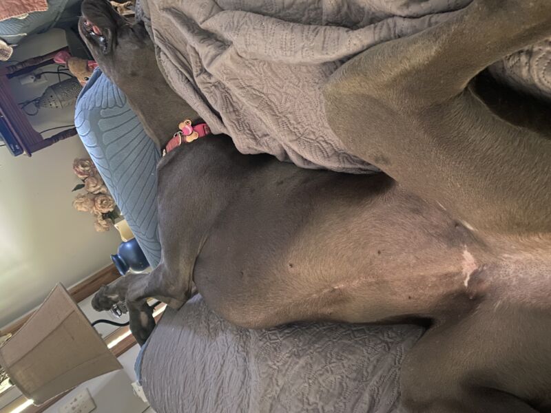 Chloe