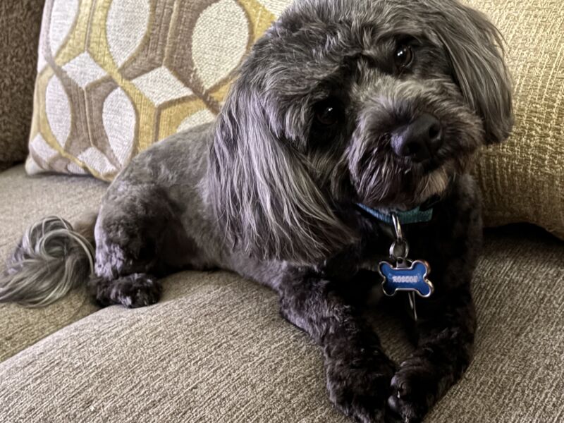 Roscoe