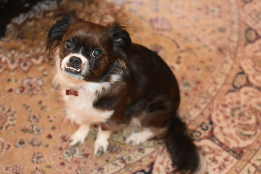 Max