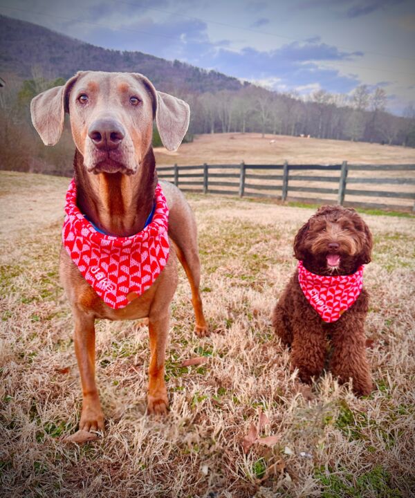 Jake and Chip