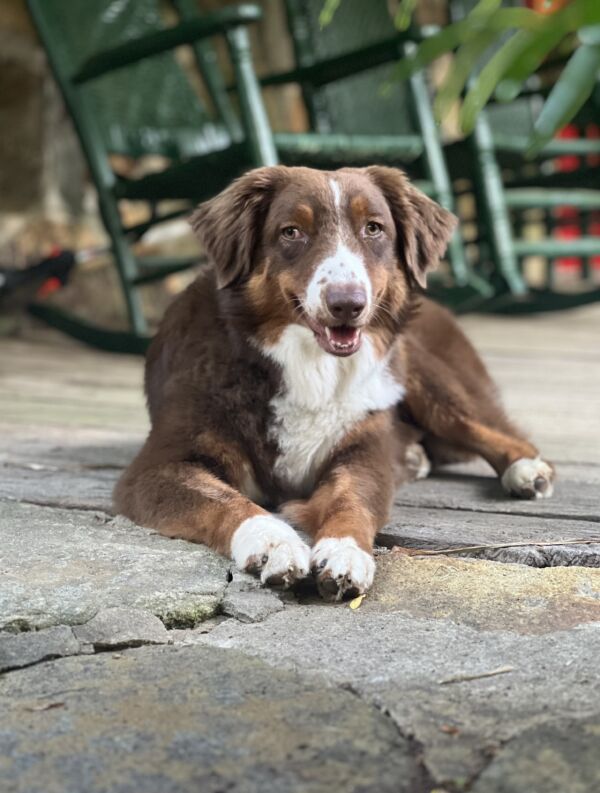 Murphy