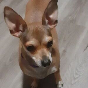 Lucy Ann
