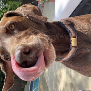 Buster