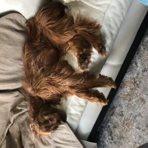 Kayliegh Sleeping