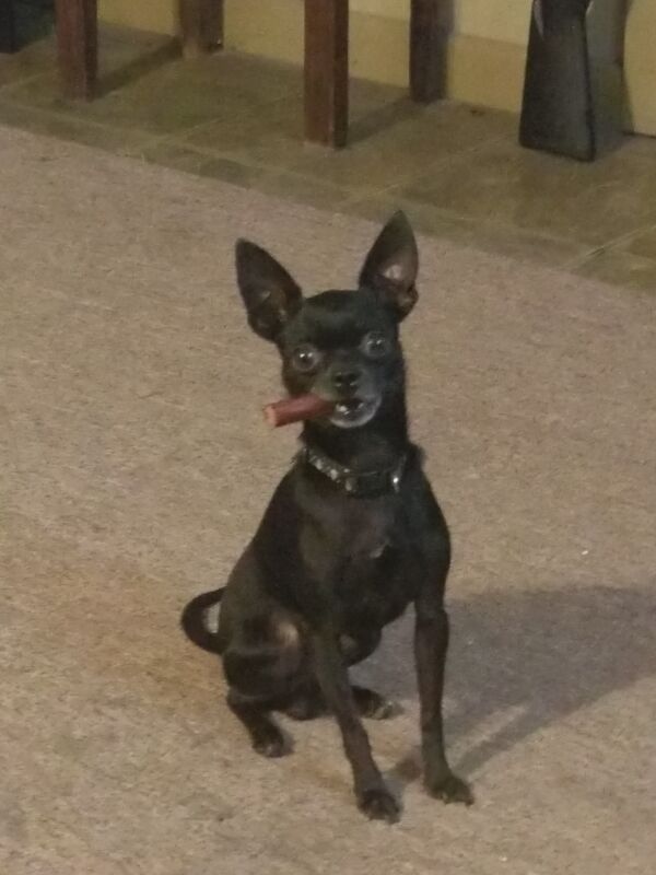 Atticus