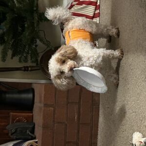 Charlie