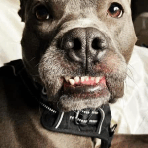 Walter