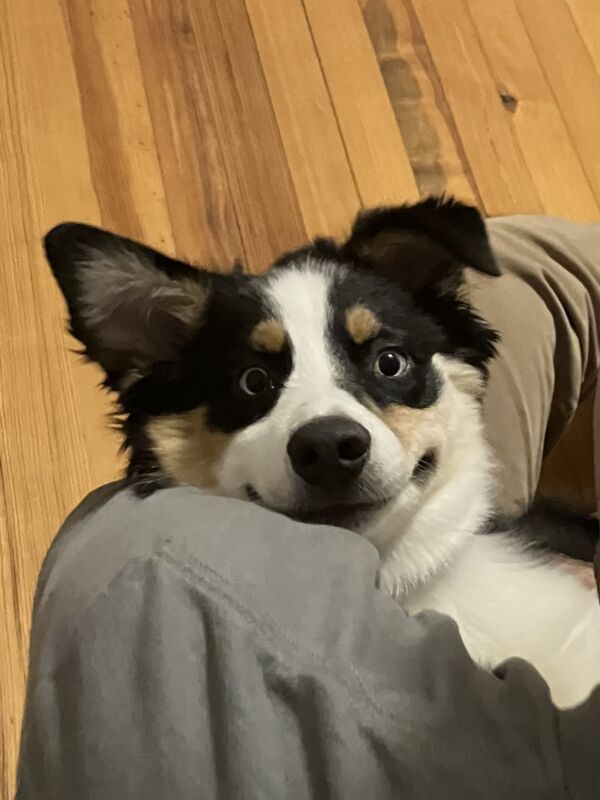 Winnie