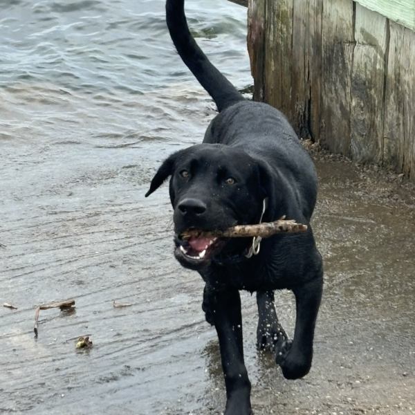 Buoy