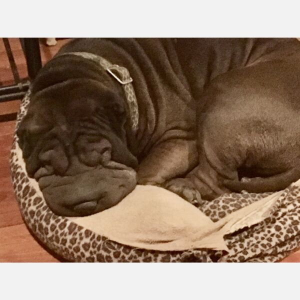 Roxy