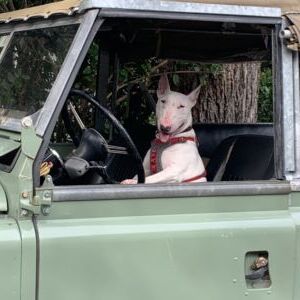 Wallace Penworth Willingham Prillaman