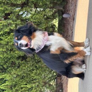 Penelope Jane (Penny)