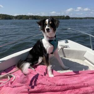 Maisy