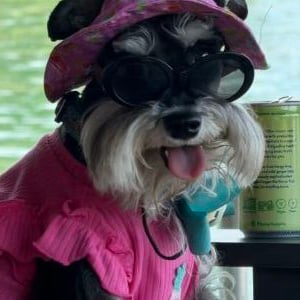Eloise