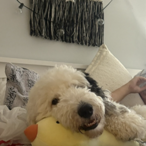 Walter