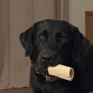 Murphy