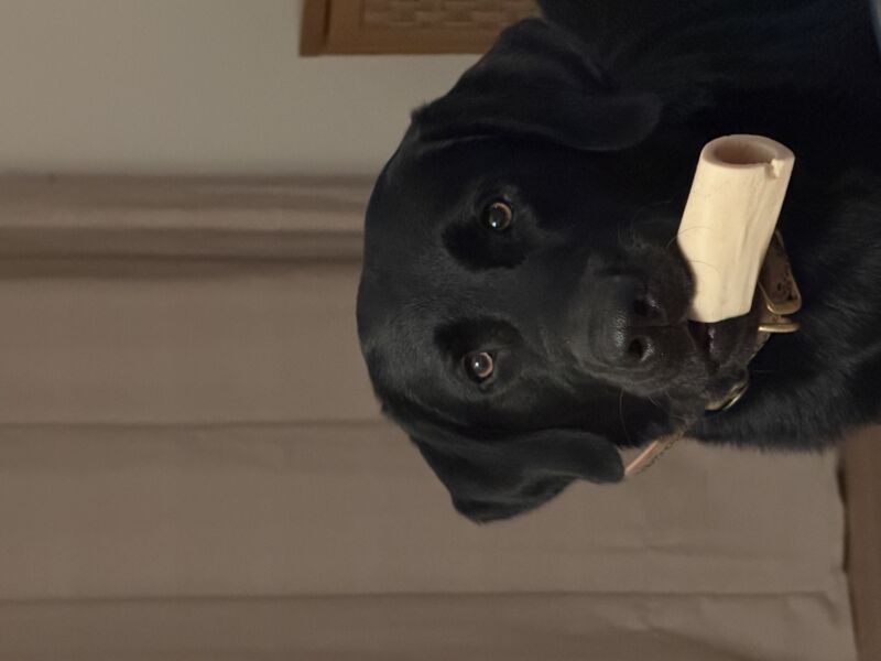 Murphy