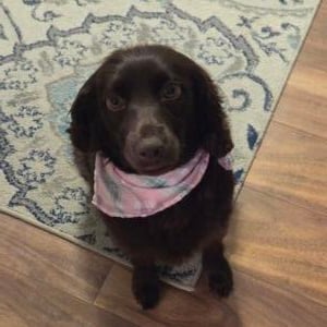 Lilly Mae