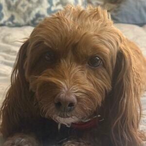 Ruby Sue