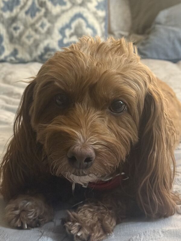 Ruby Sue
