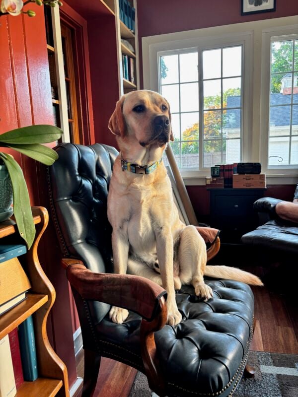 Rudy