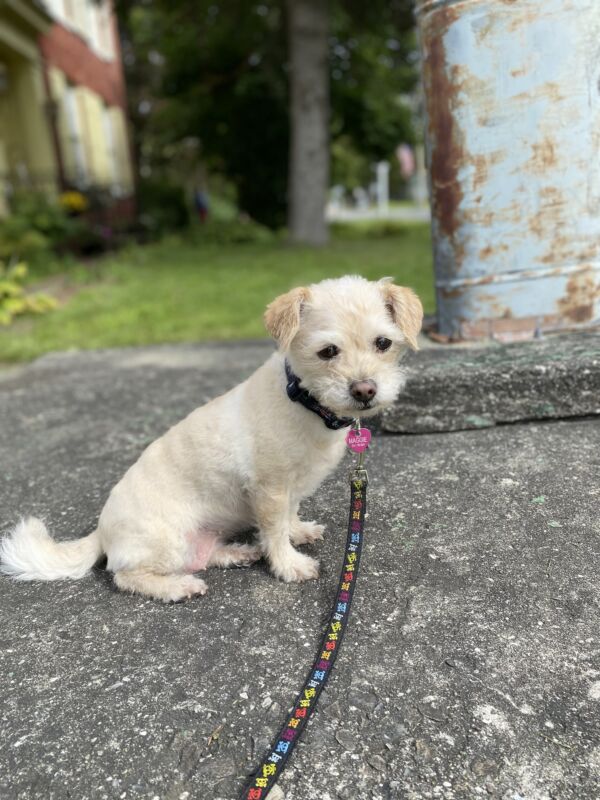 Maggie