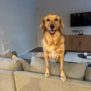 Delilah