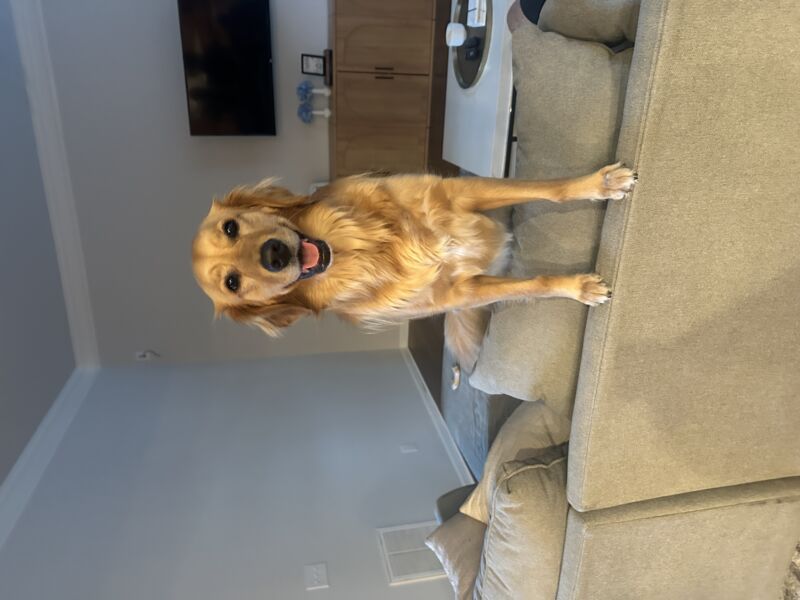 Delilah