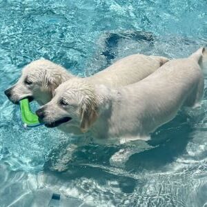 Pearl & Grady