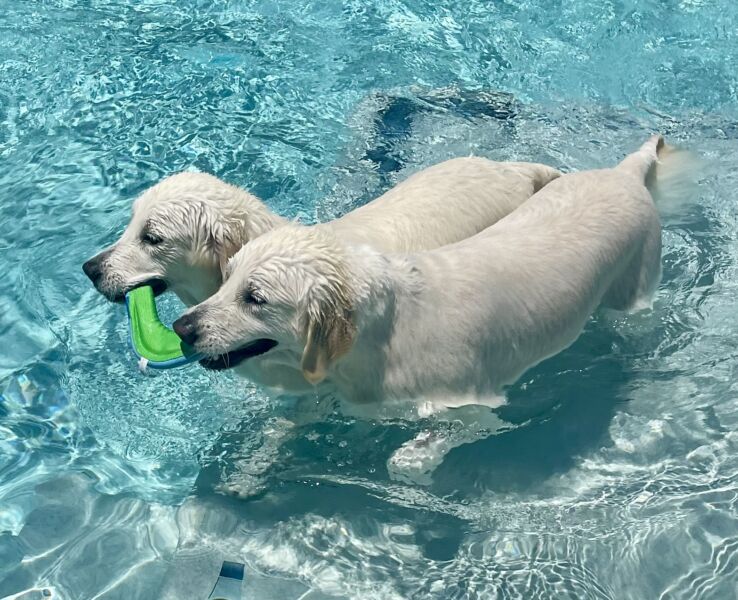 Pearl & Grady