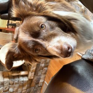 Rocky
