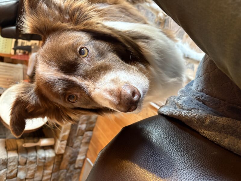 Rocky