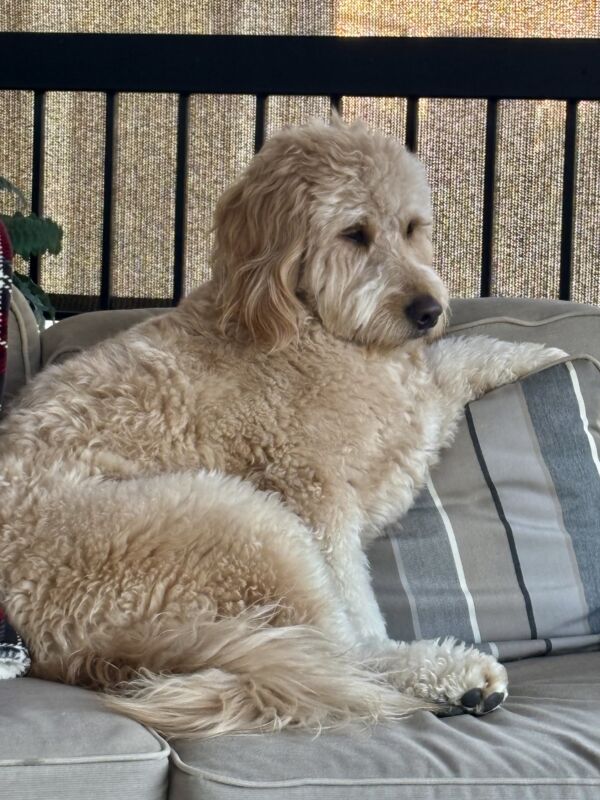 Max
